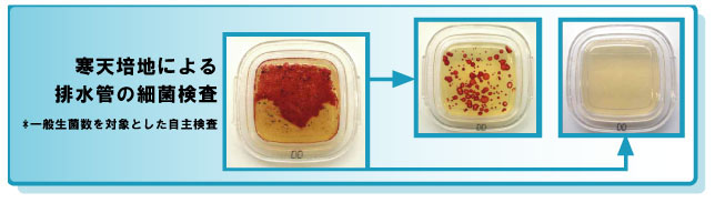 寒天培地による排水管洗浄の細菌検査比較